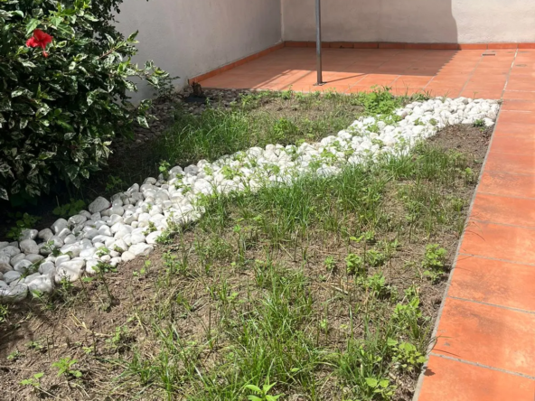 bonanzacasa20